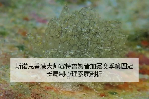 斯诺克香港大师赛特鲁姆普加冕赛季第四冠 长局制心理素质剖析
